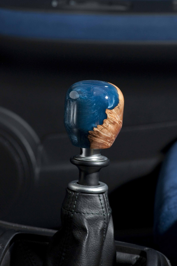 Custom Knob 19